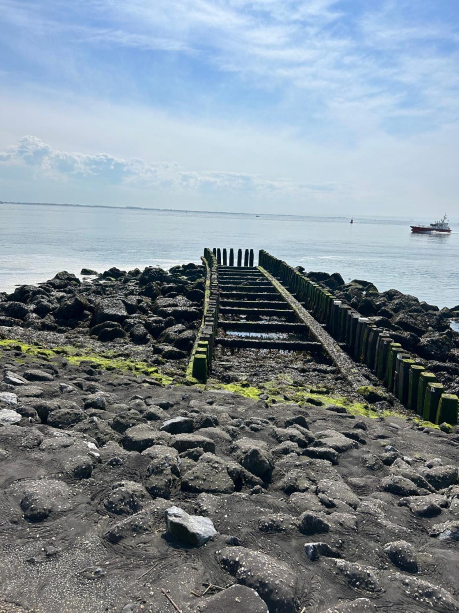 Bed & Breakfast Achter De Haven Vlissingen Esterno foto